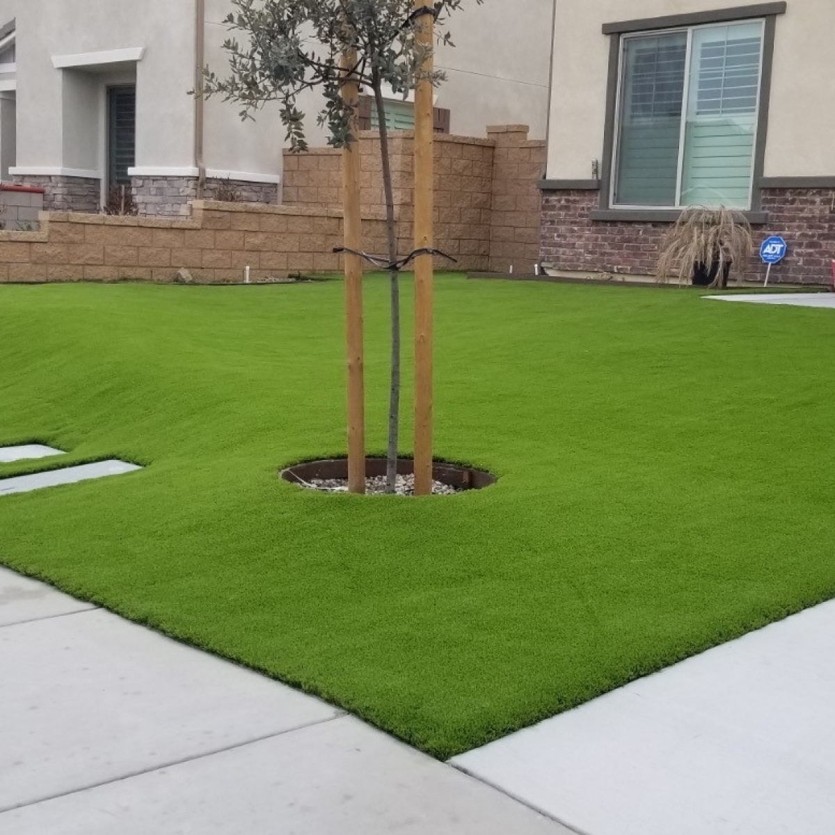 Synthetic Turf Front Yard