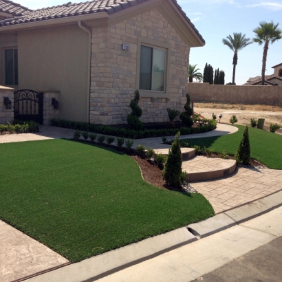 Elite Turf for Elite Lawns