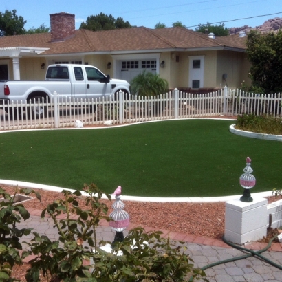 AmeriPet is the Best Turf for Dogs