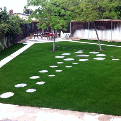 Great dogproof artificial grass!