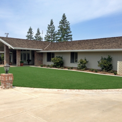 Premier Cut for a Perfectly Manicured Lawn