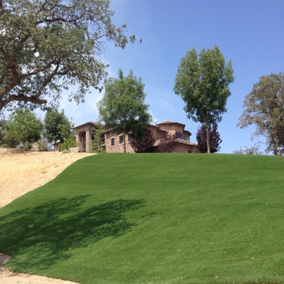 Bringing the Golf Course to My Backyard